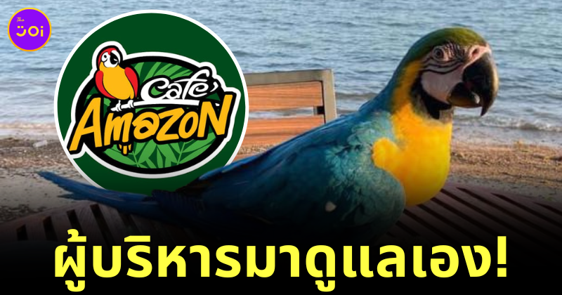 นกแก้ว cafe amazon ฐานทัพเรือสัตหีบ