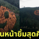ป่าสนหน้ายิ้ม