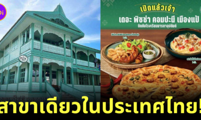 the pizza company แพร่