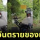 Biker Thai