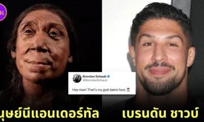 Branden Schaub Neanderthal