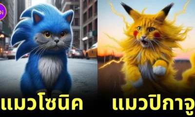 แมว รวมร่าง การ์ตูนญี่ปุ่น