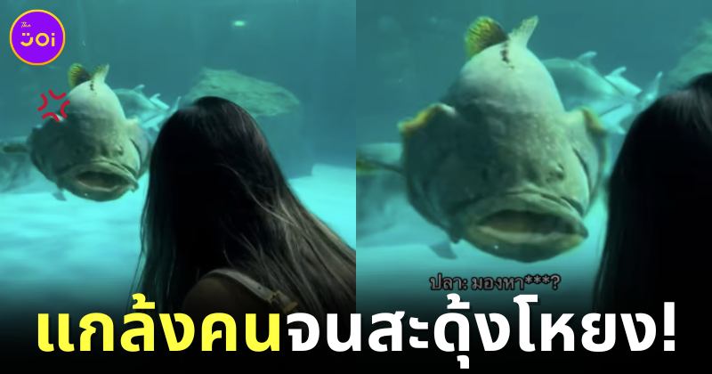 Fish pranks a girl