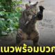 Fleem Template The Joi FBWebsite 4