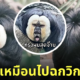 ลิงซากิ ทรงผมม้าเต่อ หนา