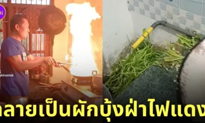 ผัดผักบุ้งไฟแดง พ่อลูกทำ