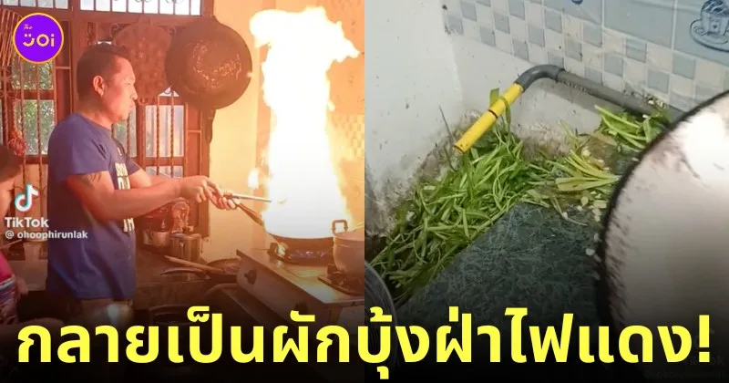 ผัดผักบุ้งไฟแดง พ่อลูกทำ