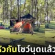 คลิปจิงโจ้ออสเตรเลียต่อสู้กัน tiktok
