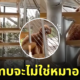 หมานั่งท่าคนบนบันได TikTok