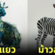 ภาพแมวผสมสัตว์โลก aiart