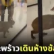 คลิปคาปิบาร่า หมามะพร้าว ช้อปปิ้งในห้าง
