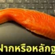 แมวคาบแซลม่อนวางบนแล็ปท็อปทาส