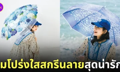 ร่มโปร่งใสสกรีนลายน่ารัก Felissimo