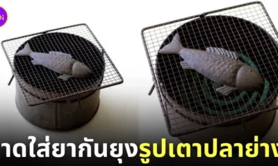 ถาดใส่ยากันยุงรูปเตาปลาย่าง