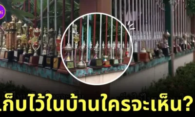 พ่อตั้งโชว์ถ้วยรางวัลไว้เต็มรั้วหน้าบ้าน TikTok