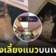 ร้านขายของทำฝ้ากระจกบนเพดานเลี้ยงแมว