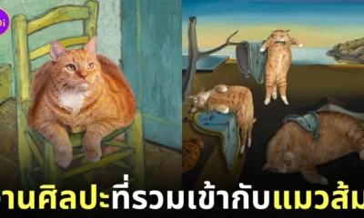 งานศิลปะคลาสสิก แมวส้ม fatcatart