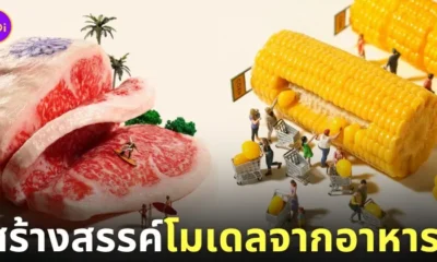 โมเดลโลกใบจิ๋ว โมเดลมนุษย์จิ๋ว โมเดลคนจิ๋ว Tatsuya Tanaka
