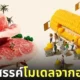 โมเดลโลกใบจิ๋ว โมเดลมนุษย์จิ๋ว โมเดลคนจิ๋ว Tatsuya Tanaka
