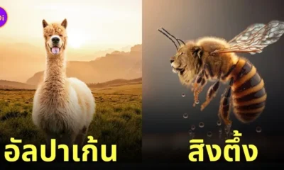 ภาพตัดต่อ Animal Hybrids สัตว์โลกผสมข้ามสายพันธุ์ Photoshop