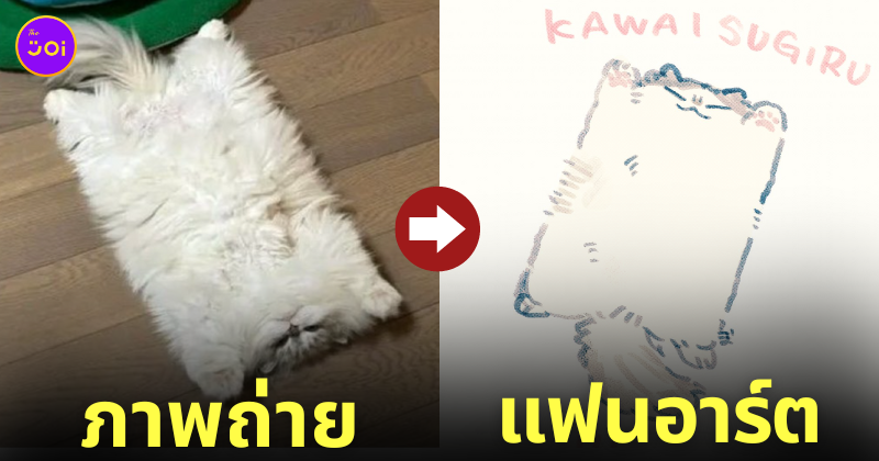 แมว นอนแผ่ สี่เหลี่ยมผืนผ้า แฟนอาร์ต