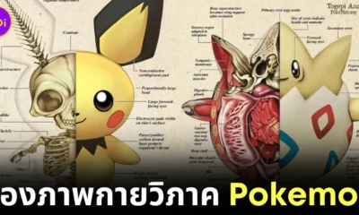 พาส่อง 32 ภาพกายวิภาคของตัวละครโปเกมอน (Pokemon) ที่ทุกคนไม่เคยเห็นมาก่อน โดยคุณเจ้าของ "IG" ชื่อว่า "TopherStoll"