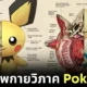 พาส่อง 32 ภาพกายวิภาคของตัวละครโปเกมอน (Pokemon) ที่ทุกคนไม่เคยเห็นมาก่อน โดยคุณเจ้าของ "IG" ชื่อว่า "TopherStoll"
