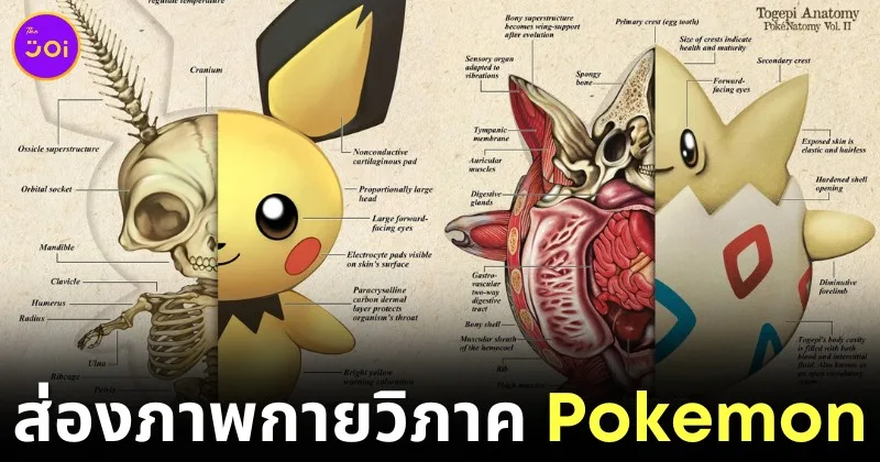 พาส่อง 32 ภาพกายวิภาคของตัวละครโปเกมอน (Pokemon) ที่ทุกคนไม่เคยเห็นมาก่อน โดยคุณเจ้าของ "IG" ชื่อว่า "TopherStoll"