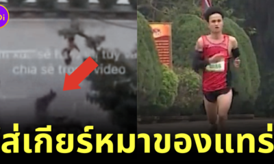 หมาไล่กัดนักวิ่งเวียดนามจนได้แชมป์