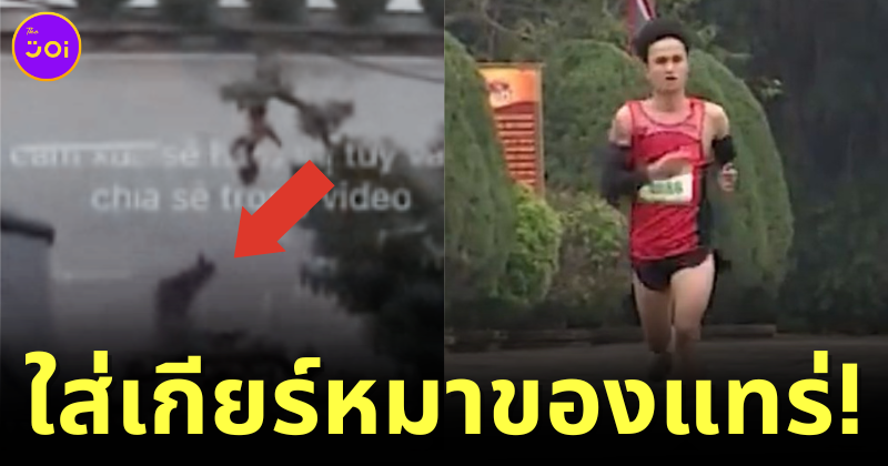 หมาไล่กัดนักวิ่งเวียดนามจนได้แชมป์
