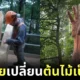 giant hand from tallest tree