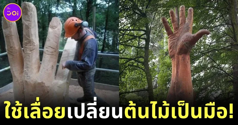 giant hand from tallest tree