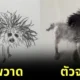 หลานวาดรูปสัตว์เลี้ยง tiktok