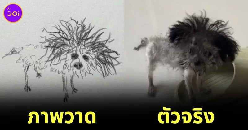 หลานวาดรูปสัตว์เลี้ยง tiktok