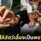 หลายรัฐในสหรัฐอเมริกาอนุญาตให้สัตว์เลี้ยงเป็นพยานในการแต่งงานและจดทะเบียนสมรส