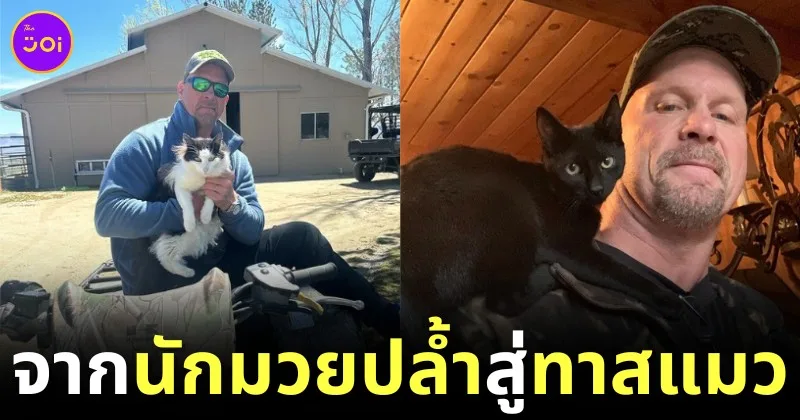 stone cold catlover