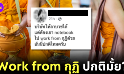 หนุ่มไทยปรึกษาชาวเน็ต "ลาบวช" แต่บริษัทให้เอาโน้ตบุ๊กไปด้วย "Work from กุฏิ" แบบนี้ก็ได้เหรอ?