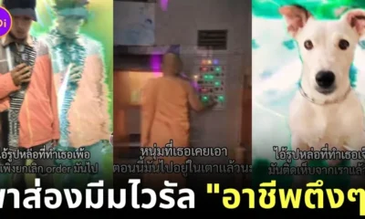 20 มีมอาชีพตึง ๆ ของชาวไทยบน "TikTok"