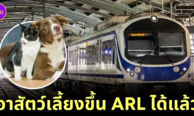 "Airport Rail Link" เปิดขบวน "Pet Travel Service" ให้คนรักสัตว์เลี้ยงพาน้องขึ้นรถไฟฟ้าได้!