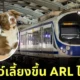 "Airport Rail Link" เปิดขบวน "Pet Travel Service" ให้คนรักสัตว์เลี้ยงพาน้องขึ้นรถไฟฟ้าได้!