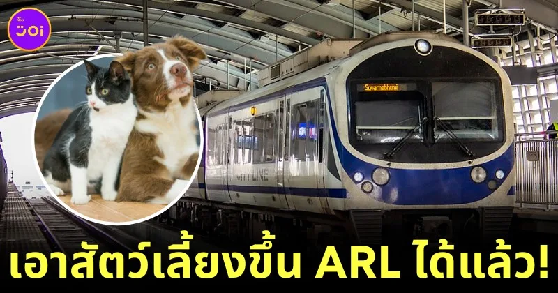 "Airport Rail Link" เปิดขบวน "Pet Travel Service" ให้คนรักสัตว์เลี้ยงพาน้องขึ้นรถไฟฟ้าได้!