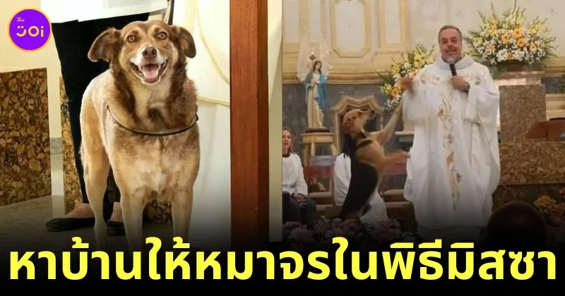 ไอเดียแจ่ม! นักบวชชาวบราซิลพาสุนัขจรจัดมาร่วมพิธีมิสซาทุกครั้ง เพื่อหาบ้านที่อบอุ่นให้กับน้อง