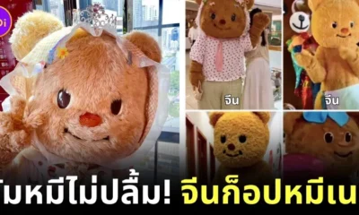 ก็อปปี้แบบนี้มัมหมีไม่ปลื้ม! จีนผุด "น้องหมีเนย (Butterbear)" สาขาแดนมังกร แถมแต่ละตัวหน้าตายังไม่ซ้ำกันอีกต่างหาก!