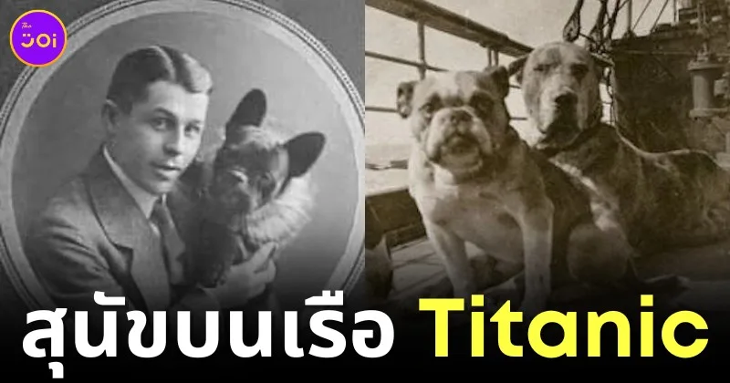 Dogs on Titanic