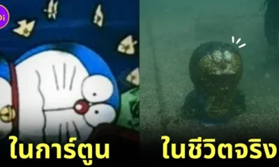 ชาวเน็ตญี่ปุ่นฮือฮา! เมื่อผู้ใช้ "X" คนหนึ่งได้แชร์ภาพการค้นพบหุ่น "Doraemon" ใต้ทะเล เหมือนกับฉากในการ์ตูนดังเมื่อปี 1993 ราวกับผู้วาดเห็นอนาคตได้!
