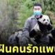 วิทยาลัยแพนด้า จีน