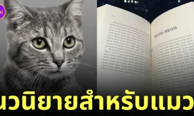 หนังสือ meow นิยายสำหรับแมว