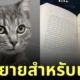 หนังสือ meow นิยายสำหรับแมว