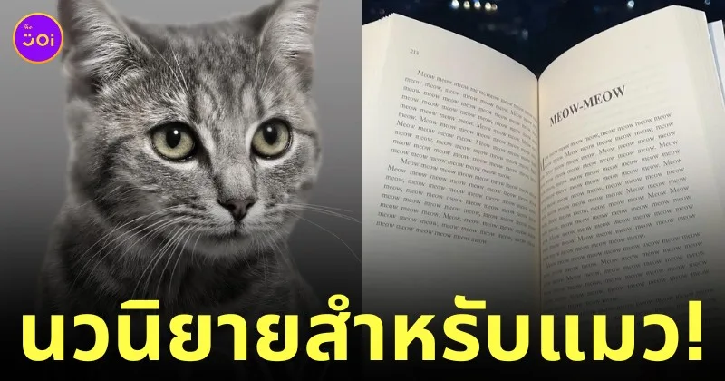 หนังสือ meow นิยายสำหรับแมว