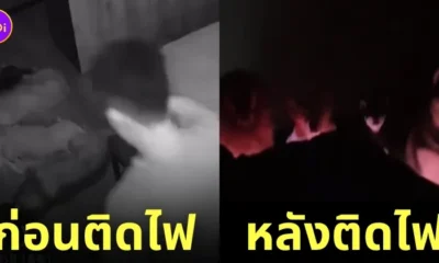 ชายชาวจีน เดินสะดุดหมา ล้ม ติดไฟใต้เตียง